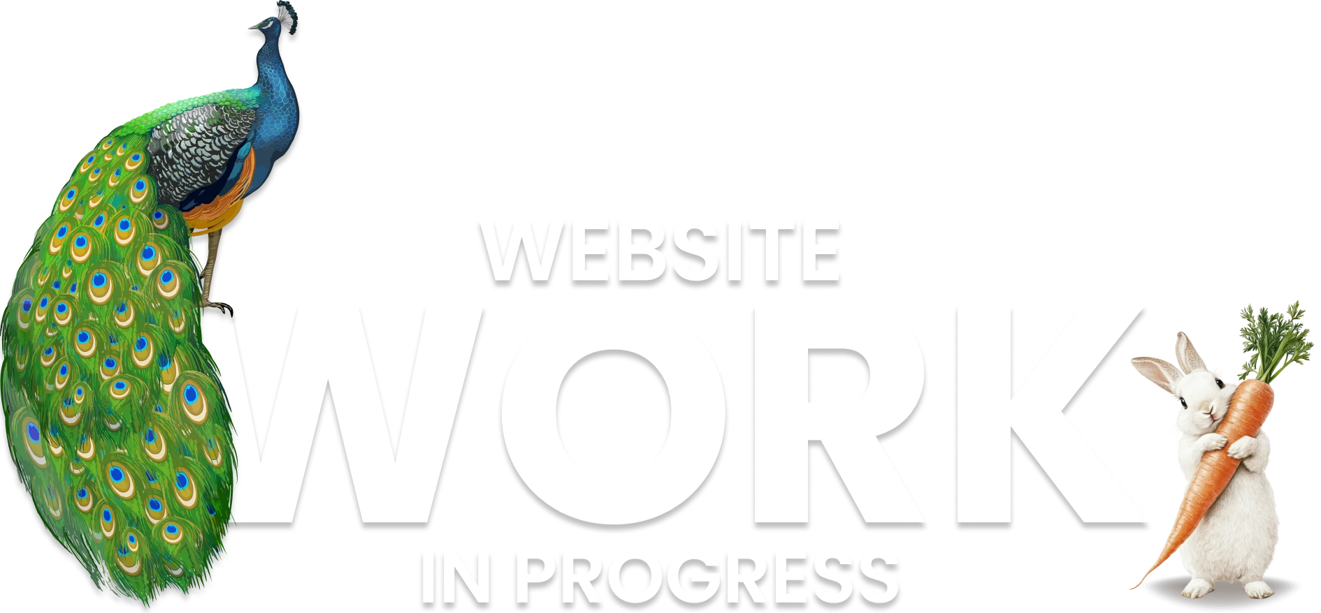 Website Work in Progress