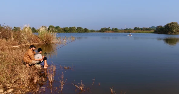 Lake and landscape