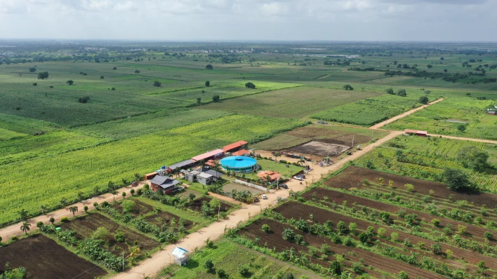 Natura Plantation