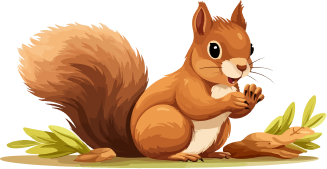 Squirrel