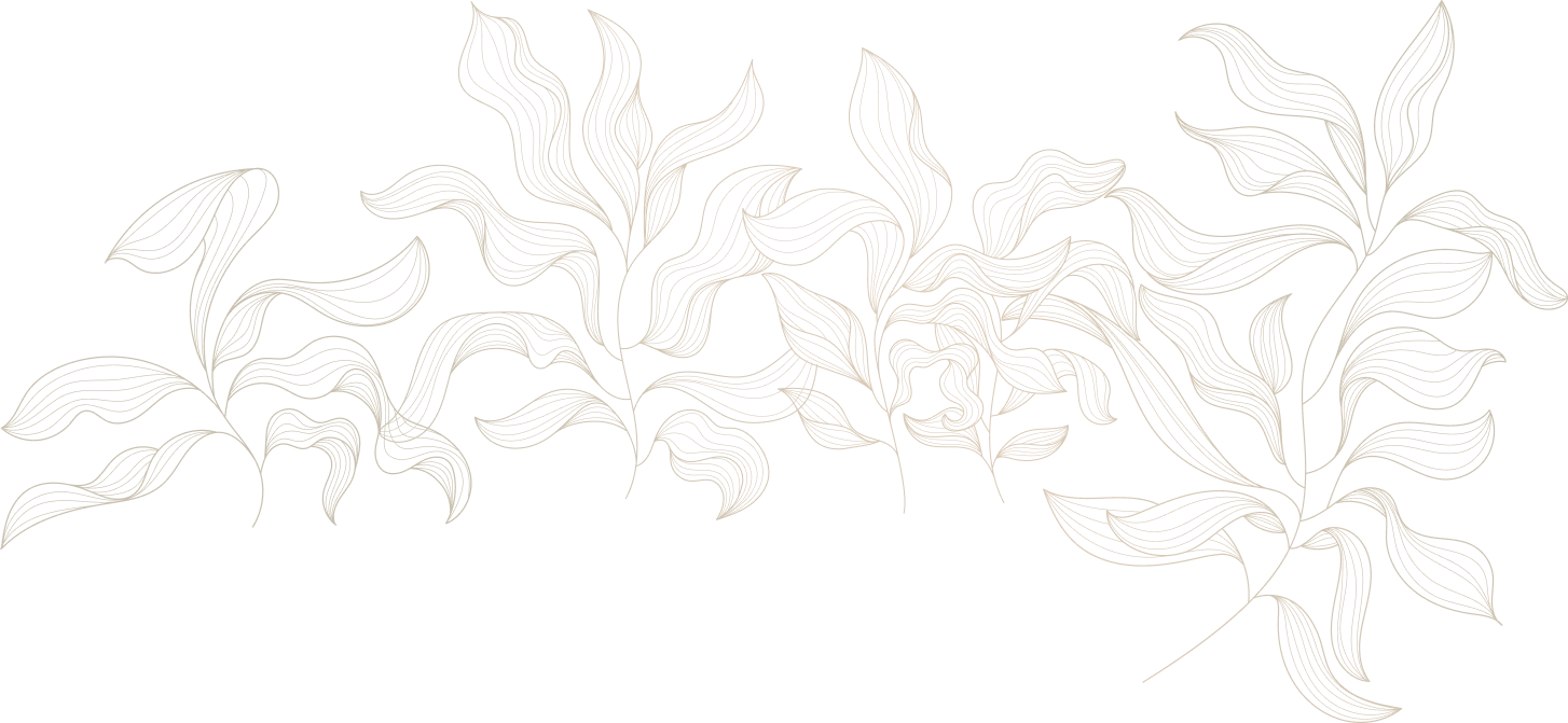 vector